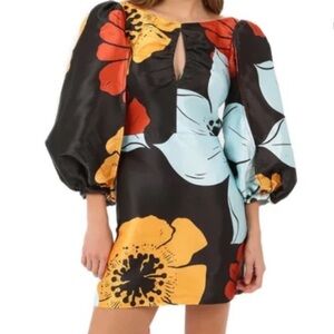 Lagaam Floral Puff Sleeve Liza Mini Dress